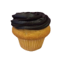 Vanilla Fudge Cupcake