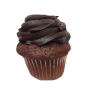 Chocolate Fudge Cupcake